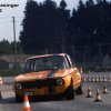 006-biesinger72